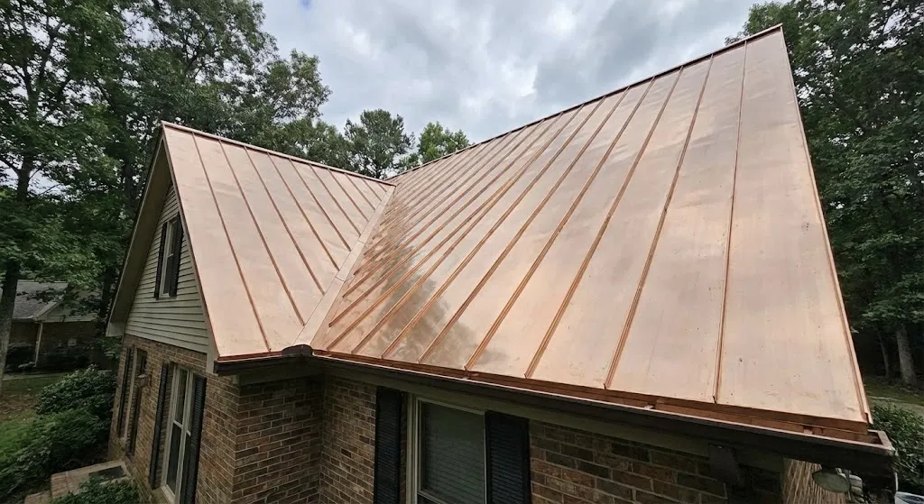 Roof Cleaning